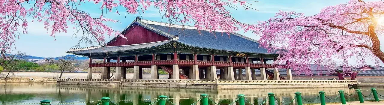 Voyage en Corée du Sud